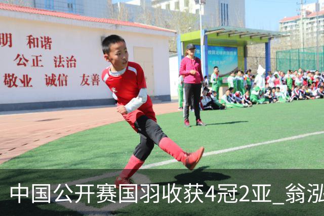 中国公开赛国羽收获4冠2亚 翁泓阳李罗组合首夺冠
